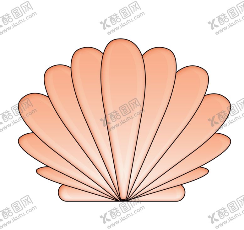 编号：33404102220339444301【酷图网】源文件下载-手绘贝壳插画