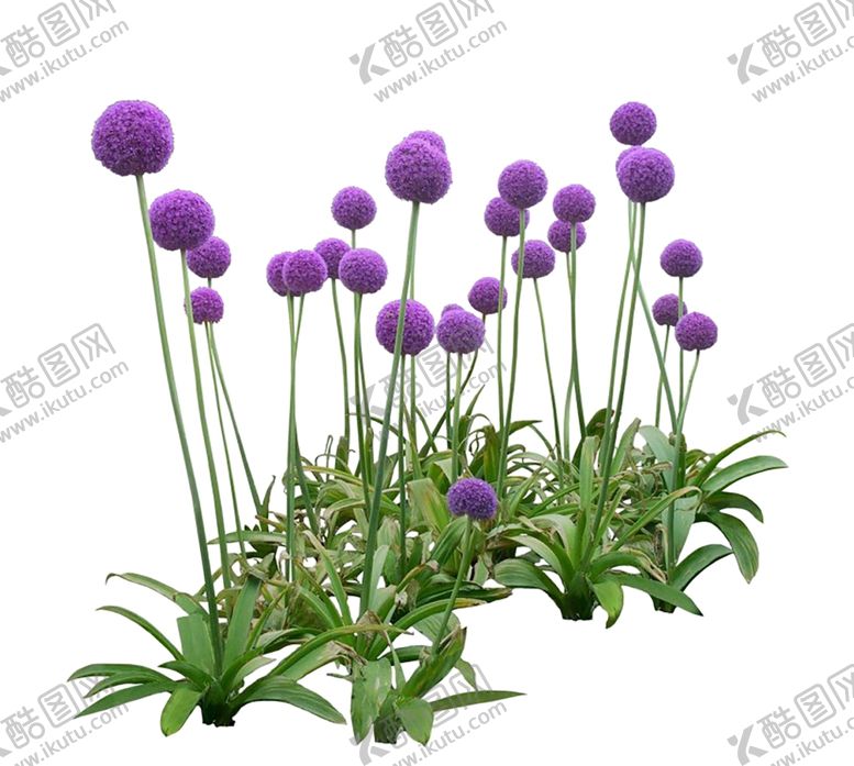 编号：22626809280958128768【酷图网】源文件下载-花艺