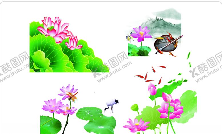 编号：33951706250751022091【酷图网】源文件下载-荷花大全荷花荷花鱼