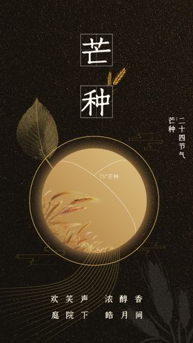 芒种传统节气素材海报
