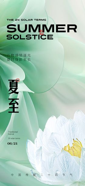 夏至节气海报荷花二十四