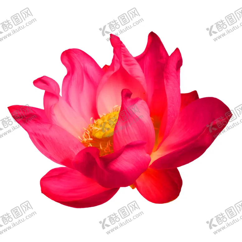 编号：24767007010548371260【酷图网】源文件下载-浪漫素材