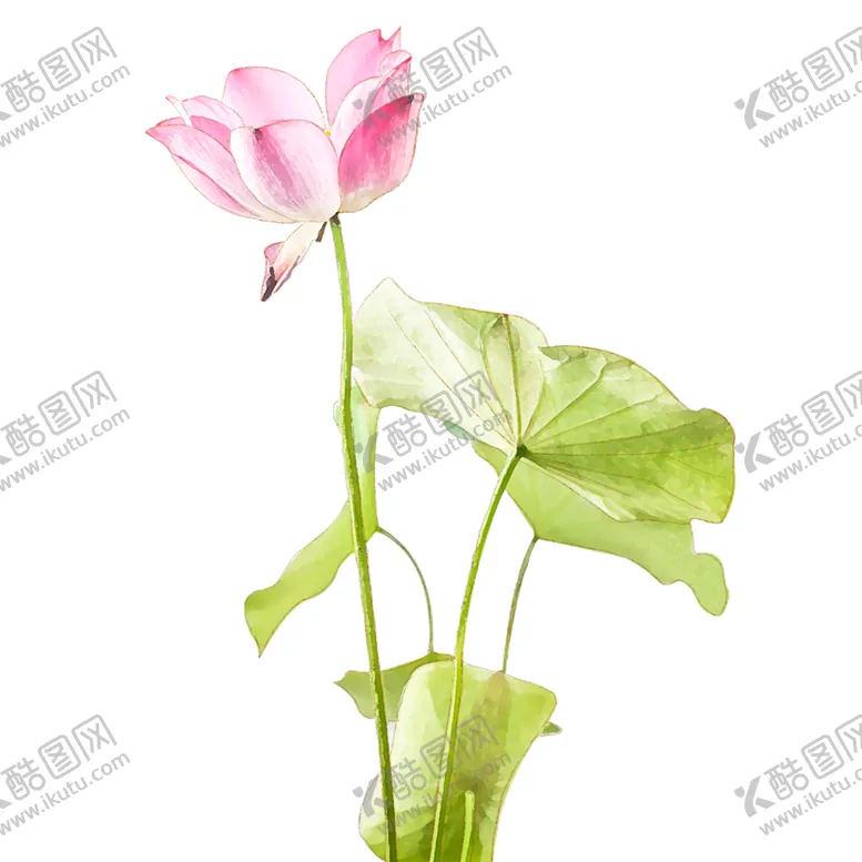 编号：85903804082113481069【酷图网】源文件下载-荷花元素