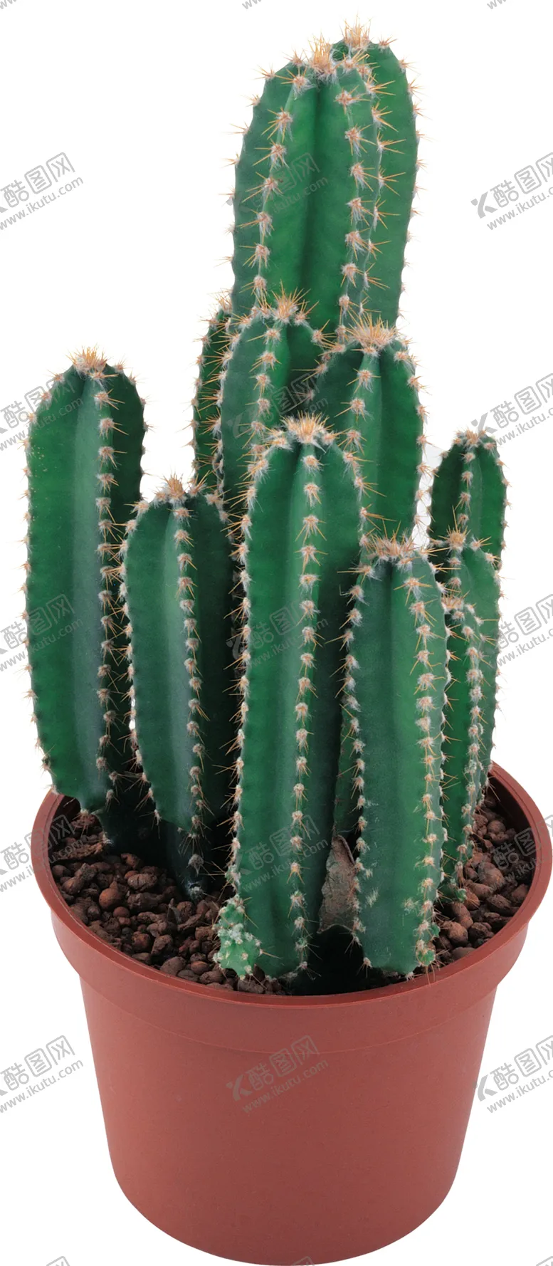 编号：22571310191230135230【酷图网】源文件下载-绿色植物