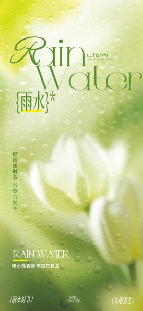 雨水节气海报