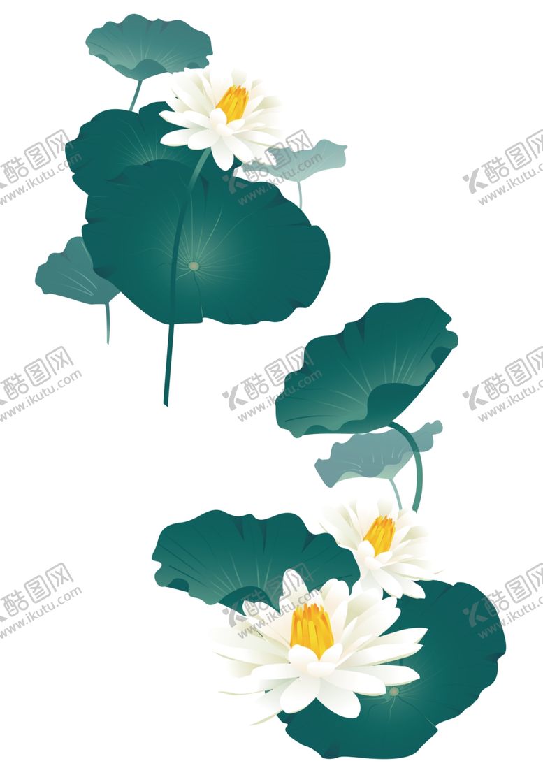 编号：43717803220716564966【酷图网】源文件下载-荷花荷叶
