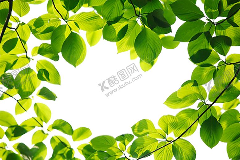 编号：67496310050409159578【酷图网】源文件下载-绿色背景