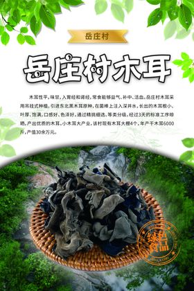 泰安市工艺美术家协会