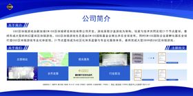 游戏公司简介