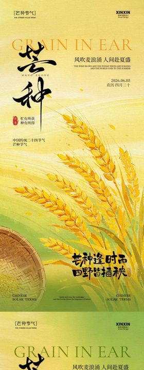 芒种节气小麦简约插画海报