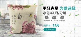 甲醛克星