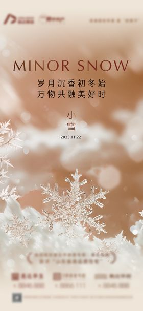 地产小雪大雪立冬单图简约高级意境海报