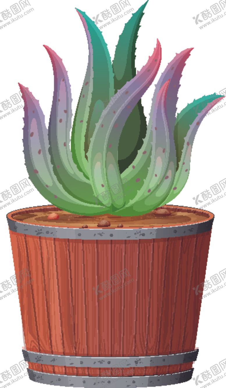 编号：79848309240700022903【酷图网】源文件下载-盆景盆栽