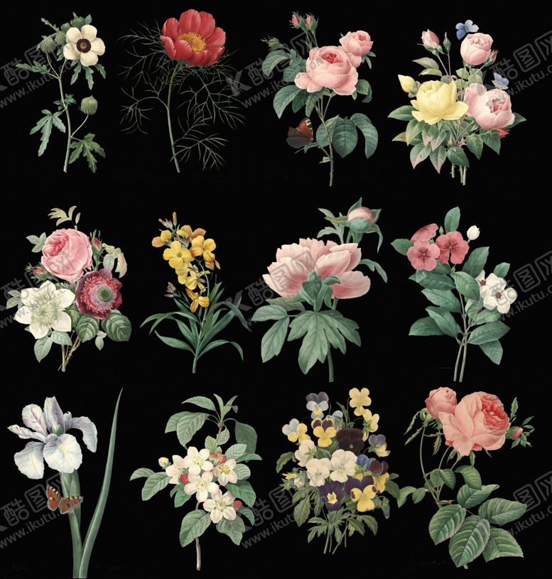 编号：14293706281013056359【酷图网】源文件下载-花朵插画鲜花