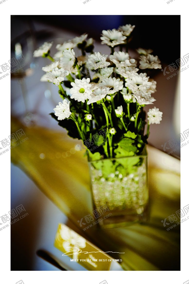 编号：63779609200321373198【酷图网】源文件下载-植物装饰画