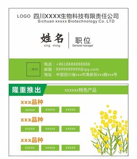 简约名片