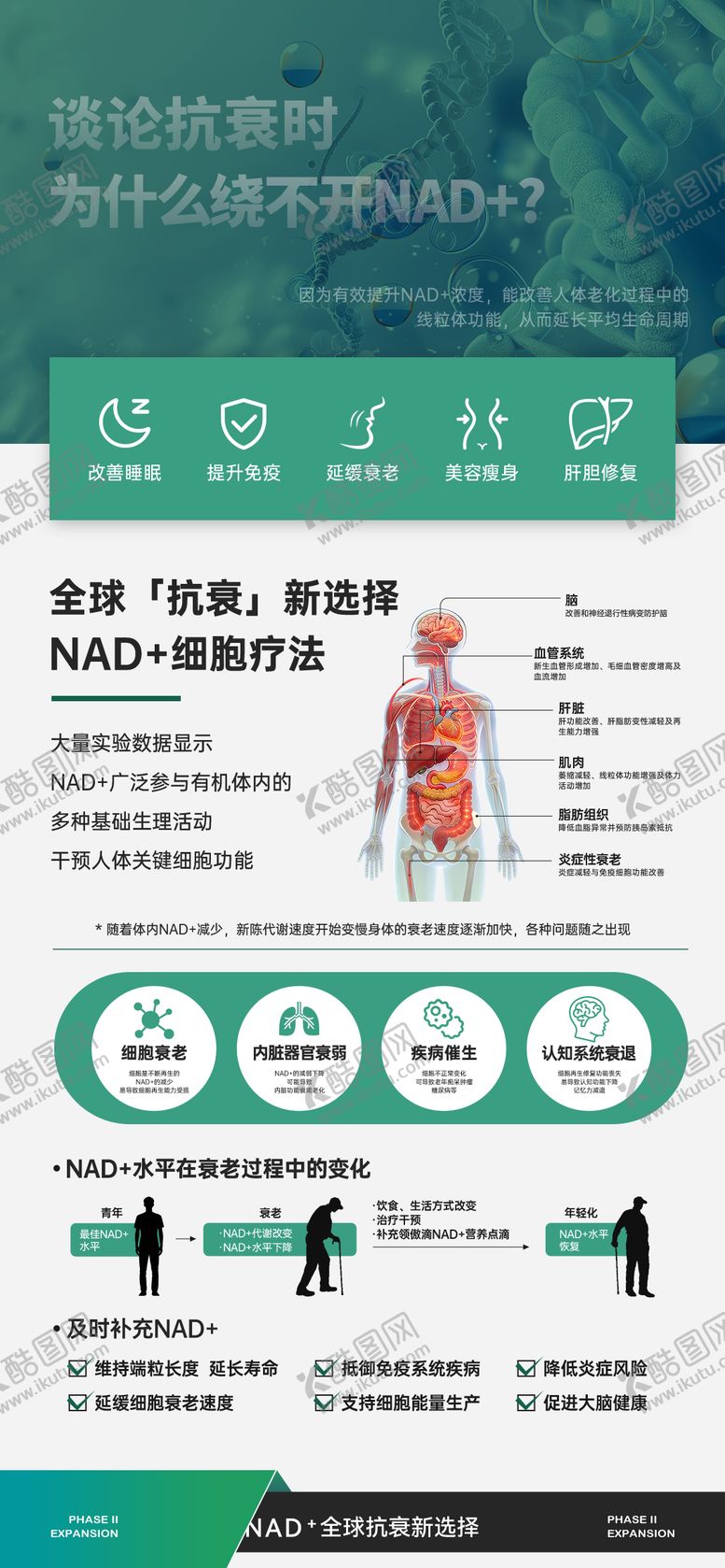 编号：60648804101837009024【酷图网】源文件下载-NAD 宣传科普推广