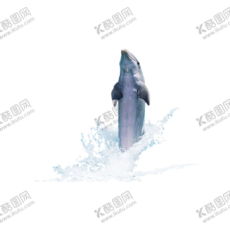 编号：40137810060400016006【酷图网】源文件下载-水花免扣