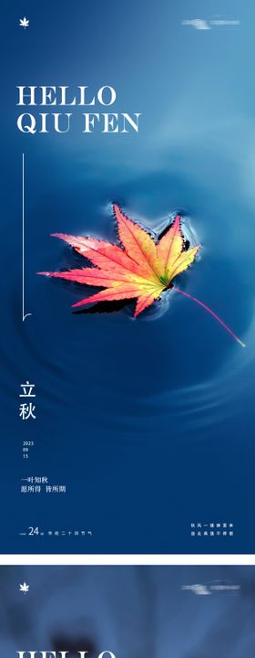 秋分节气梧桐叶海报