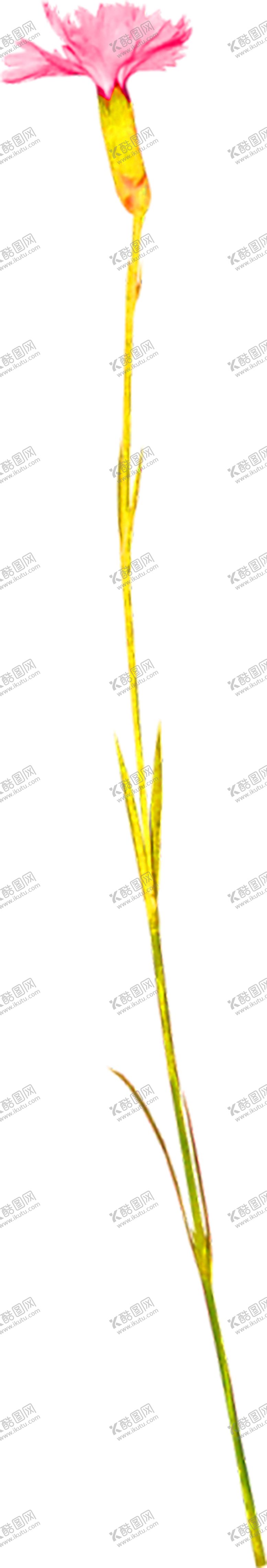 编号：63709605111344435638【酷图网】源文件下载-鲜花装饰