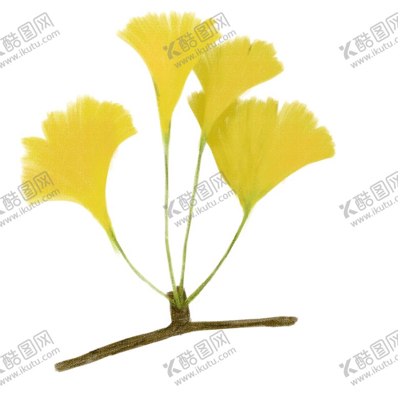 编号：96363604211723452891【酷图网】源文件下载-秋天银杏叶