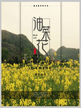 油菜花