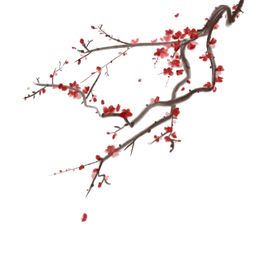 梅花素材