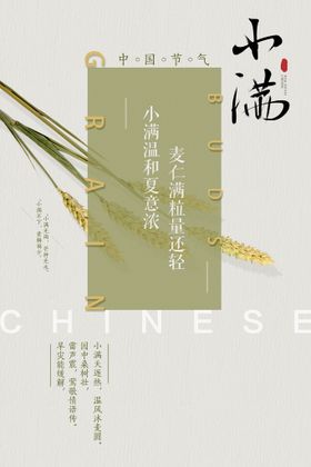小满海报宣传二十四节气24节气地产节气单图