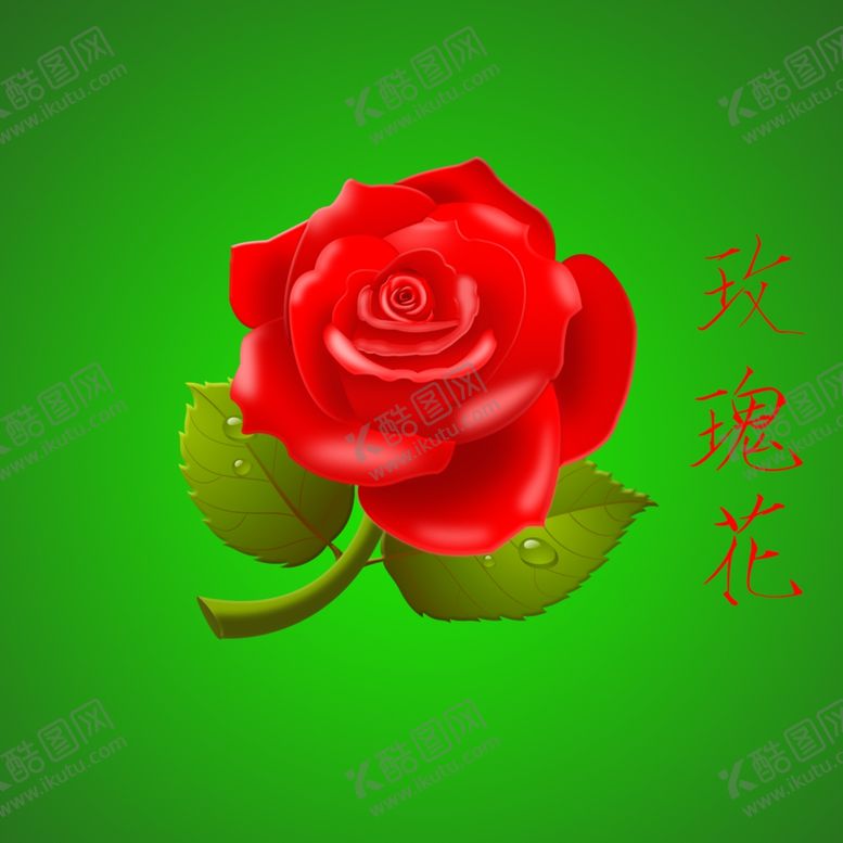 编号：12445509221754566929【酷图网】源文件下载-玫瑰花