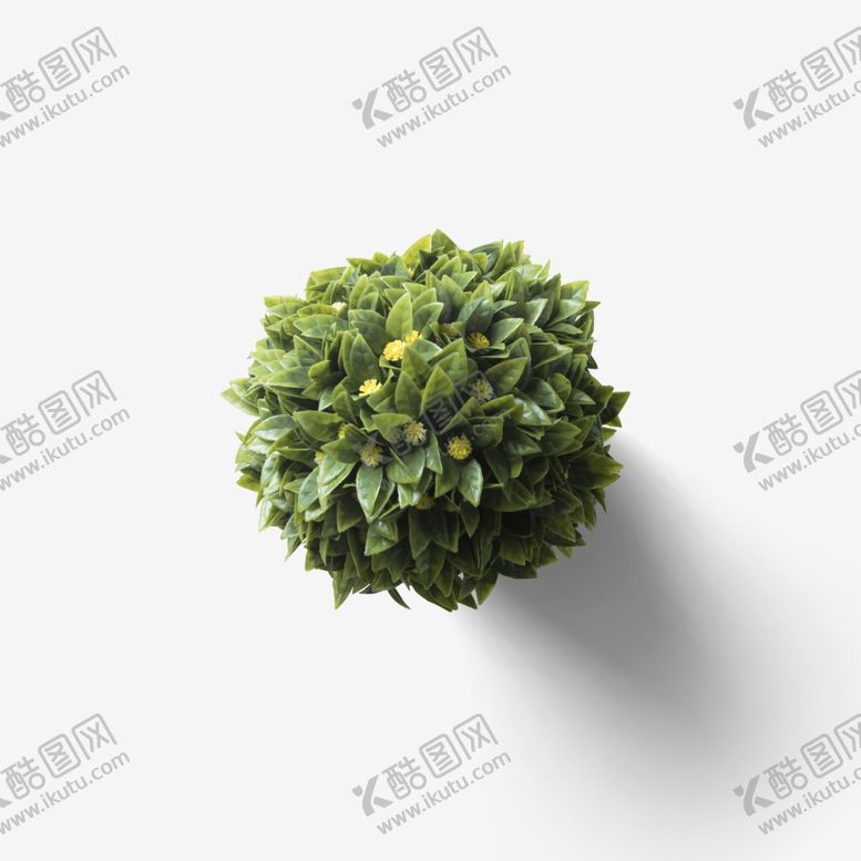 编号：39132902201459383273【酷图网】源文件下载-植物