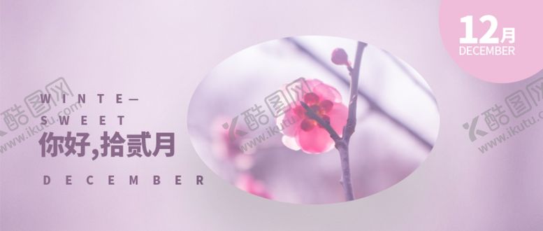 编号：81747506261024112440【酷图网】源文件下载-你好12月
