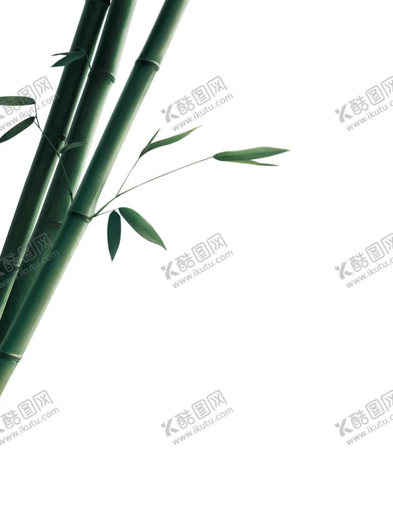编号：54188706270612093759【酷图网】源文件下载-绿色植物