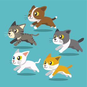 可爱小猫