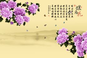 紫色牡丹