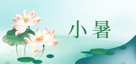 小暑时节荷花绽放