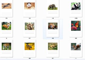 多样动物摄影作品展示