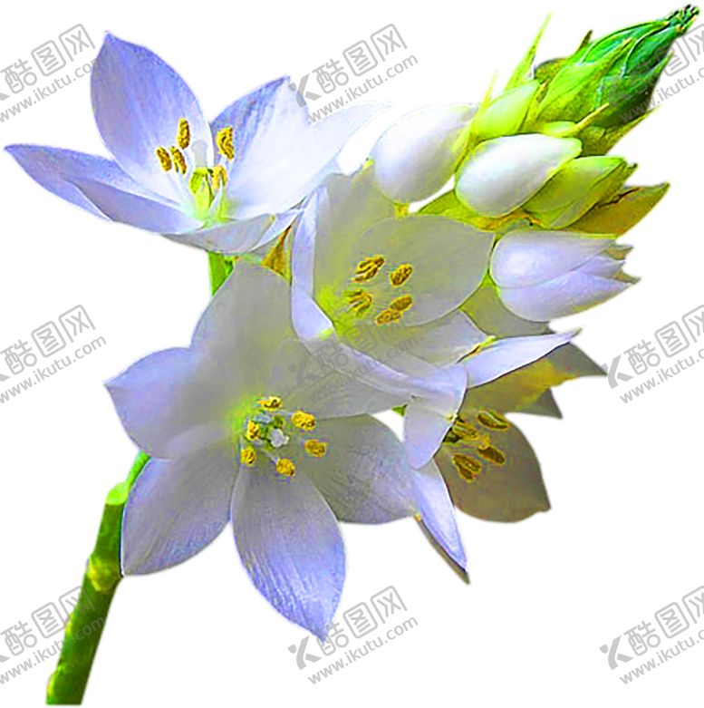 编号：61320107140202475790【酷图网】源文件下载-浪漫素材