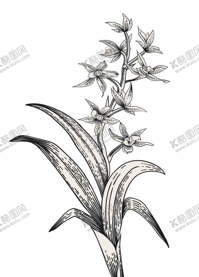 编号：26371009130222592608【酷图网】源文件下载-植物花