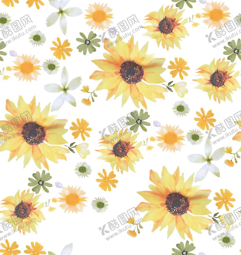 编号：68356710012038336302【酷图网】源文件下载-菊花