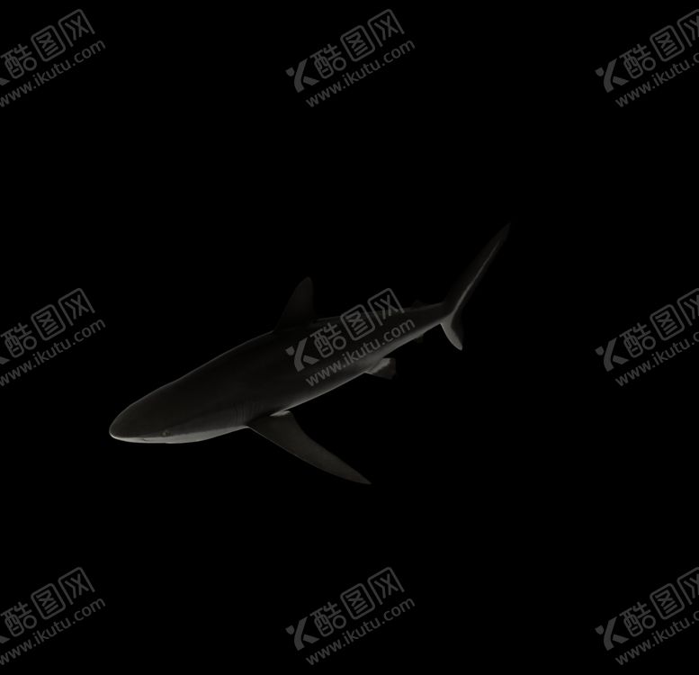 编号：29002407060742281868【酷图网】源文件下载-海洋生物