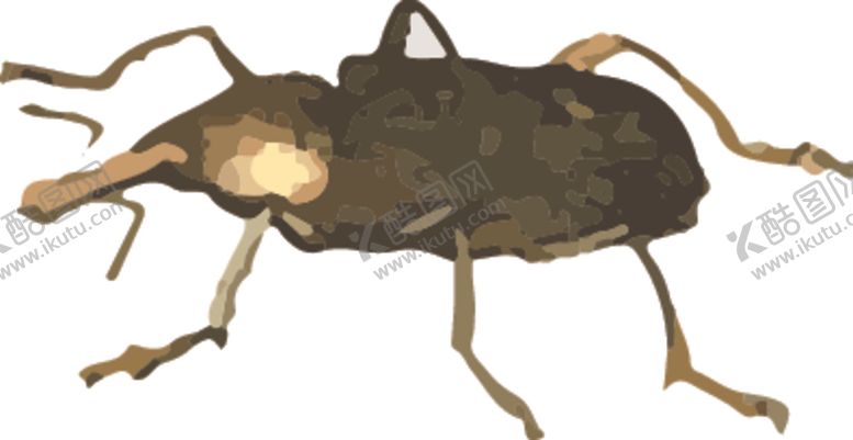 编号：90856510302337081270【酷图网】源文件下载-米虫昆虫插画