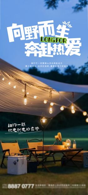 夜晚星空野外露营旅游海报