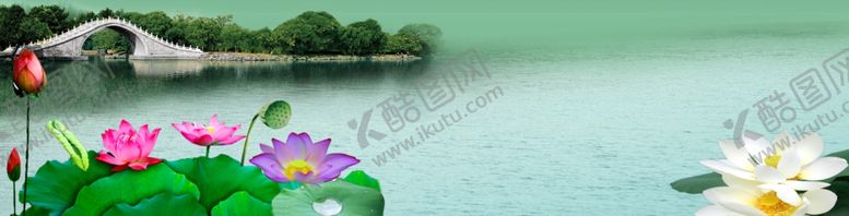编号：49532004201727042557【酷图网】源文件下载-国画荷花