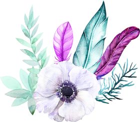 鲜花素材