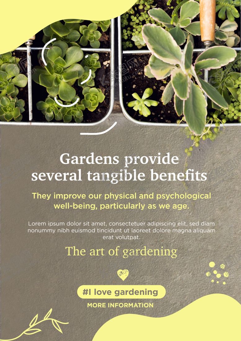 编号：54181809260136258830【酷图网】源文件下载-植物海报