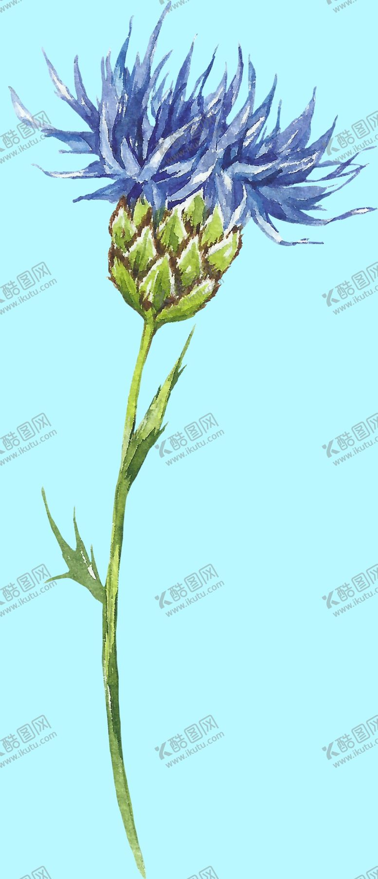 编号：96452410131611458731【酷图网】源文件下载-花卉树叶