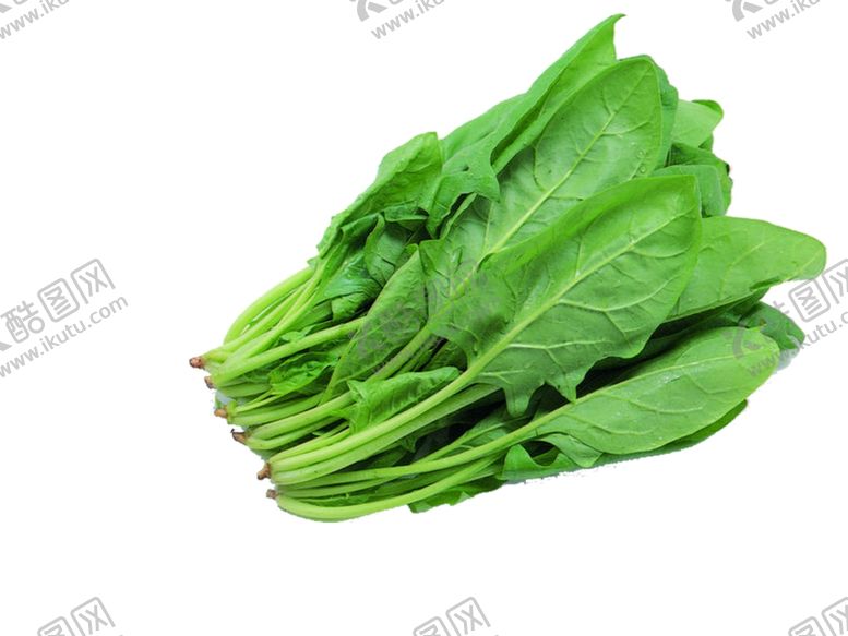 编号：81187909271058319547【酷图网】源文件下载-菠菜