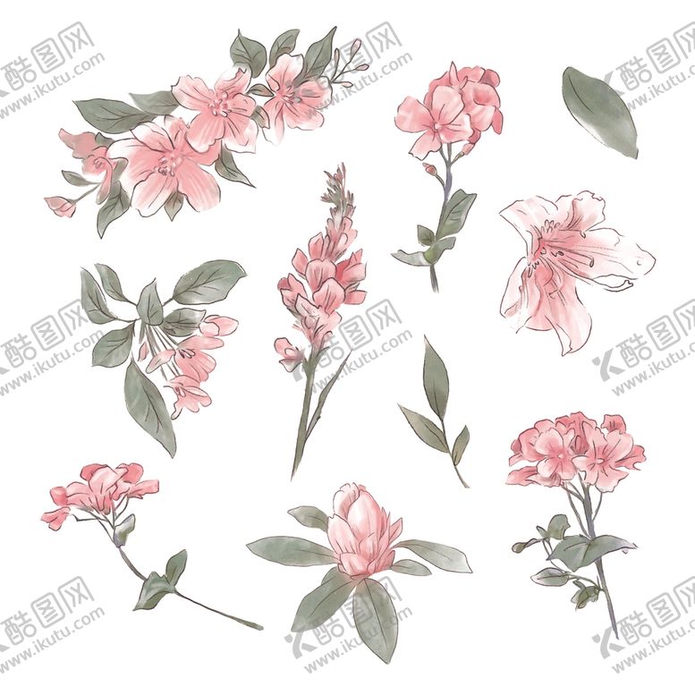 编号：71243707051139376323【酷图网】源文件下载-绿植花卉