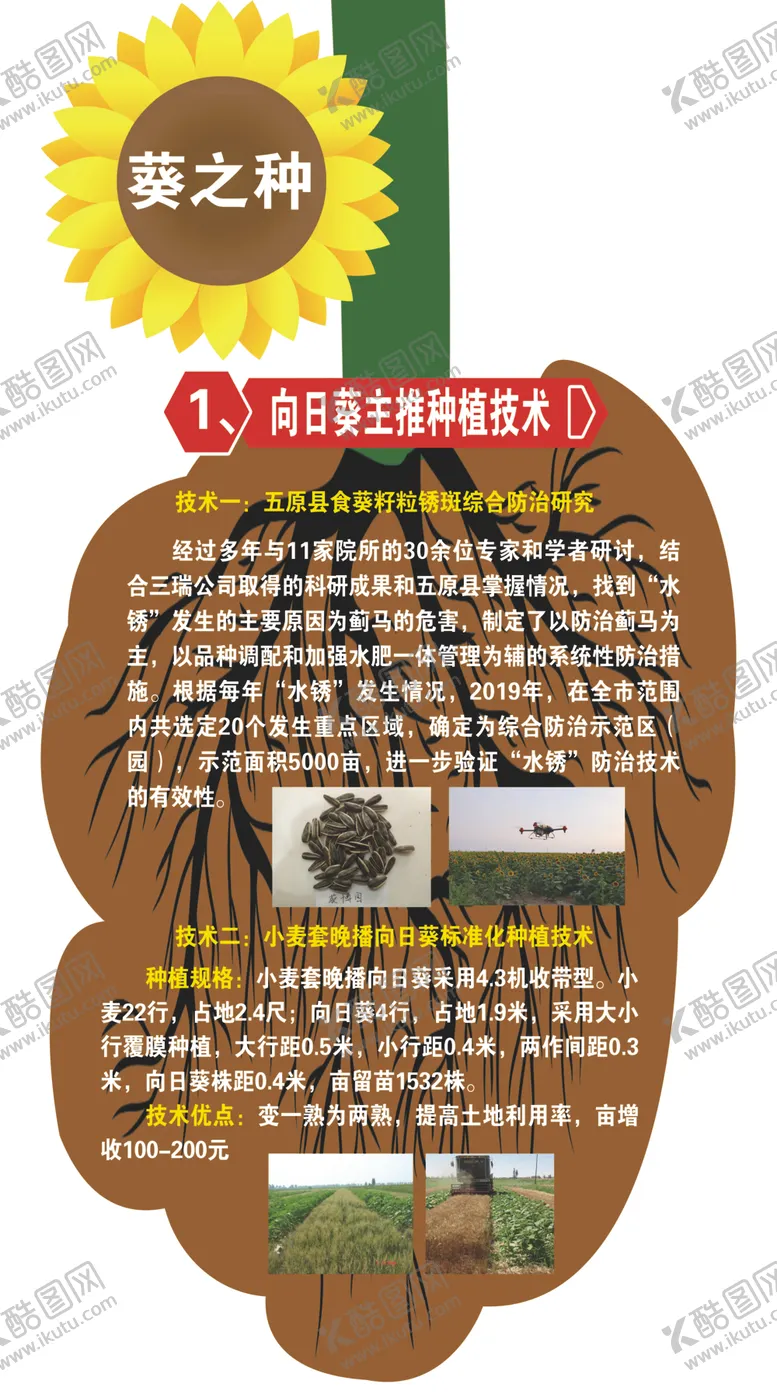 编号：73816505041300139559【酷图网】源文件下载-向日葵