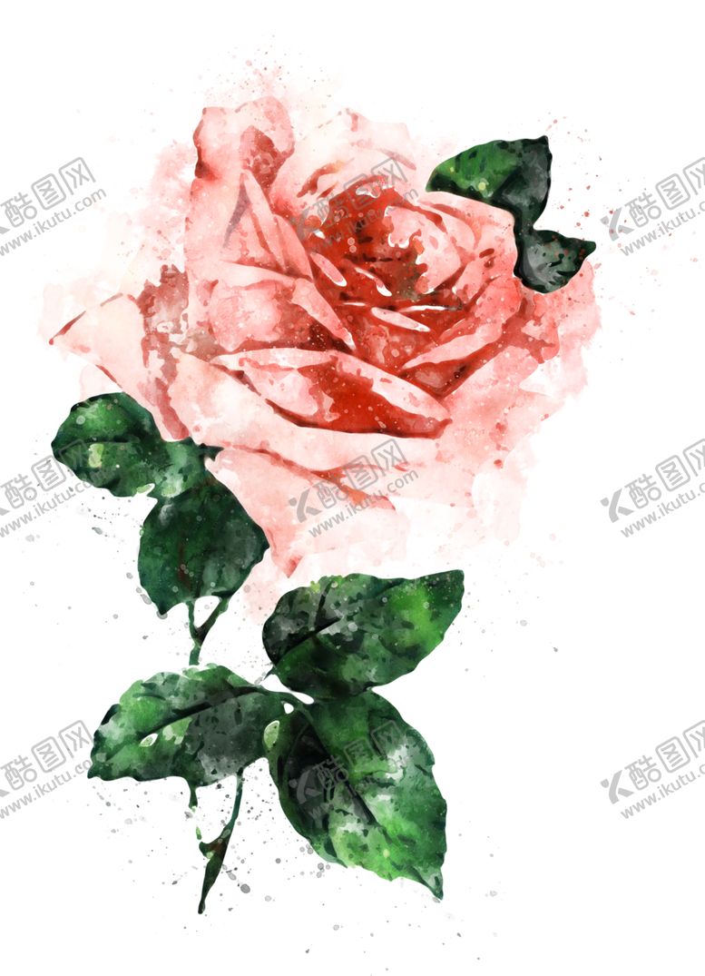 编号：33294810212351143609【酷图网】源文件下载-手绘花卉